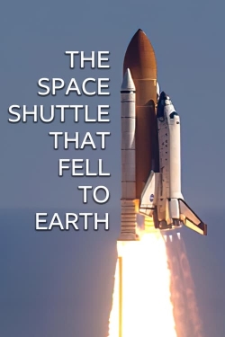 watch-The Space Shuttle That Fell to Earth
