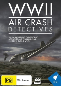 watch-WWII Air Crash Detectives