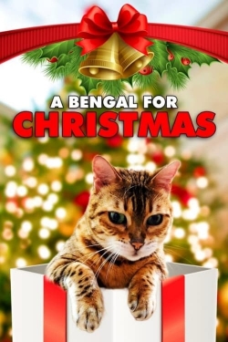 watch-A Bengal for Christmas