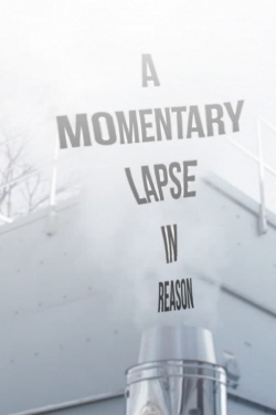 watch-A Momentary Lapse in Reason