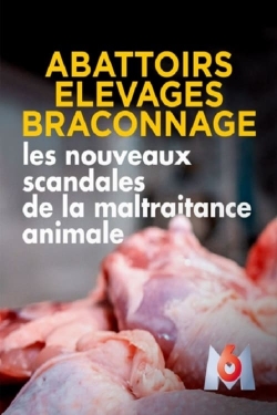 watch-Abattoirs, élevages, braconnage, les nouveaux scandales de la maltraitance animale