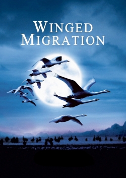 watch-Winged Migration