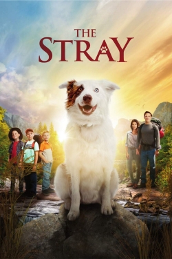 watch-The Stray