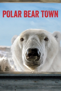 watch-Polar Bear Town