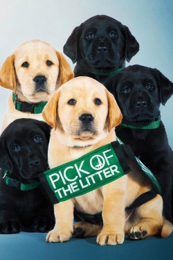 watch-Pick of the Litter